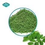 辣木提取物粉生产厂家-有机叶提取物批量