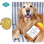 Pet Fish Oil Softgel Manufacturer - OEM Omega-3 Cats Dogs