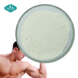 BCAA Powder Supplier - Branched Chain Amino Sport Nutrition