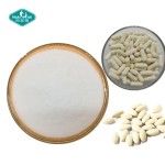 硫酸软骨素粉供应商-钠盐CS CAS 9007-28-7