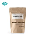 Mushroom Extract Powder Factory - 6 Blend Immune Support Supplement