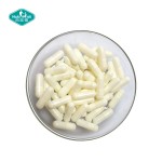 肠溶胶囊源头工厂-包衣明胶HPMC空壳