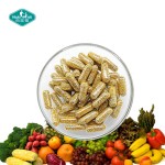 Multi Vitamin Capsules Supplier - Controlled Release Microbead Zinc