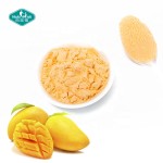 芒果粉源头工厂-冻干果汁风味定制