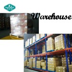 Electrolyte Powder Supplier - Bespoke Lemon Lime Keto Hydration