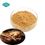Tongkat Ali Powder Manufacturer - 200:1 Eurycomanone Root Extract