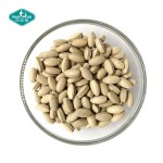 蒺藜片源头工厂-草本提取物 Terrestris 补充剂