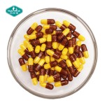 L-Arginine Capsules Factory - Sustained Release Multivitamin Granular