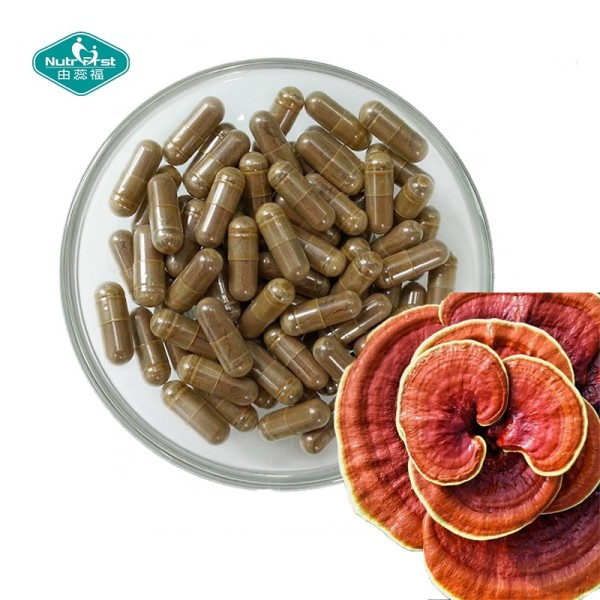 Cordyceps Capsules Factory - Custom Reishi Mushroom Extract Blend