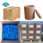 Tomato Powder Factory - Spray Dried Vegetable Food Grade