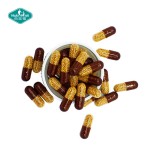 L-Arginine Capsules Factory - Sustained Release Multivitamin Granular
