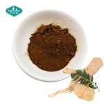 Tongkat Ali Powder Manufacturer - 200:1 Eurycomanone Root Extract