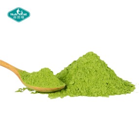 Super Green Powder Manufacturer - Private Label Dietary Fiber