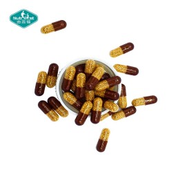 L-Arginine Capsules Manufacturer - Time Release Methionine Zinc Beadlets