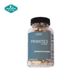 Probiotics Capsules Manufacturer - 20 Billion CFU Multi-strains Vitamin