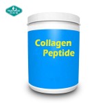 Collagen Peptides Powder Supplier - OEM Hair Skin Nail Supplement