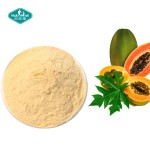 木瓜粉生产厂家-冷冻干燥优质风味速溶