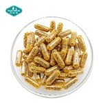 L-Arginine Capsules Factory - Extended Release Folic Acid Micropellets