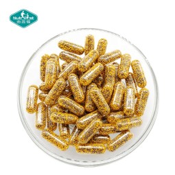 L-Arginine Capsules Factory - Extended Release Folic Acid Micropellets