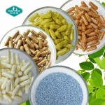 CoQ10 Capsules Supplier - Sustained Release Collagen Micro-pellets