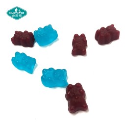 Biotin Gummies Factory - Hair Nails Growth Vegetarian Pectin Candy