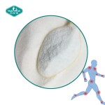 葡萄糖胺粉源头工厂-纯素HCL原料补充剂