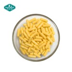 肠溶胶囊源头工厂-包衣明胶HPMC空壳