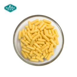 Enteric Capsules Factory - Coated Gelatin HPMC Empty Shells