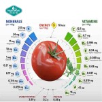 Tomato Powder Factory - Spray Dried Vegetable Food Grade