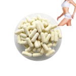 Prebiotics Capsules Factory - 15 Billion Multi-strains Metabolism Boost
