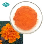 叶黄素粉生产厂家-20%万寿菊玉米黄质视力