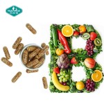 Vitamin B Capsules Factory - Delayed Release B-100 Complex Beadlets