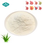Glutamine Powder Manufacturer - Custom Digestive Health Vegan Formula