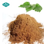 叶绿素铜钠盐粉源头工厂-15% 95%铜钠批量供应
