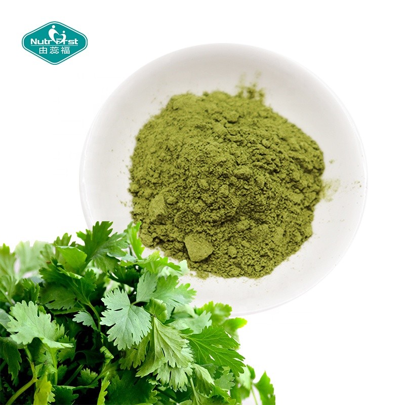 Coriander Powder Manufacturer - 100% Pure Freeze Dried Food Additive