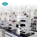 Superfood Powder Manufacturer - OEM Vitamin Mineral Plant Extract