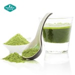 Digestive Enzymes Powder Factory - Custom Probiotics Greens Blend