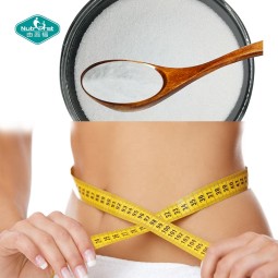 L-Carnitine Powder Factory - Food Grade Bulk Raw Material