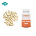 Prebiotics Capsules Factory - 15 Billion Multi-strains Metabolism Boost