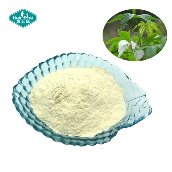 甜茶提取物源头工厂-70%甜茶苷食品添加剂粉