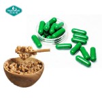纳豆激酶胶囊供应商-有机纳豆提取物草本补充剂