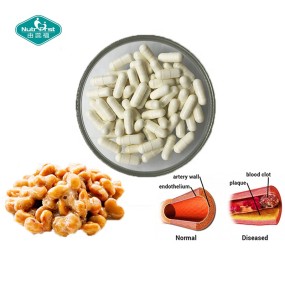 纳豆激酶胶囊供应商-有机纳豆提取物草本补充剂