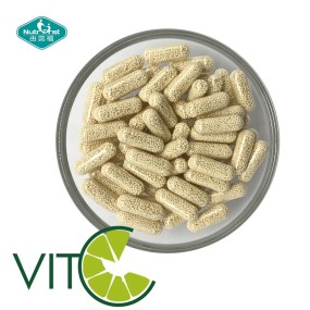 Vitamin C Capsules Manufacturer - Private Label Sustained Release Beadlets