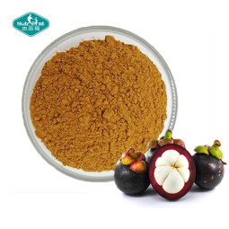 Mangosteen Powder Supplier - Purple Fruit Freeze Dried Bulk