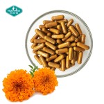 叶黄素胶囊源头工厂-草本玉米黄质视力支持