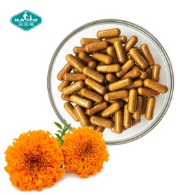 叶黄素胶囊源头工厂-草本玉米黄质视力支持