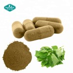Quercetin Capsules Supplier - Turmeric Nettle Leaf Root Extract