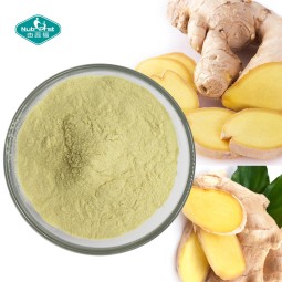 Ginger Powder Factory - Organic Instant Water Soluble Root