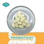 益生菌片源头工厂-代工人类超级食品咀嚼纯素