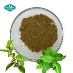 武靴叶粉源头工厂-25% 50% 75%武靴叶酸叶